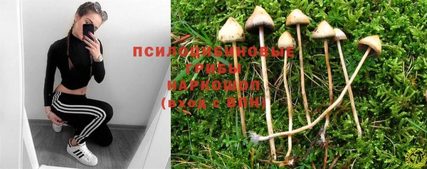 jwh Нязепетровск