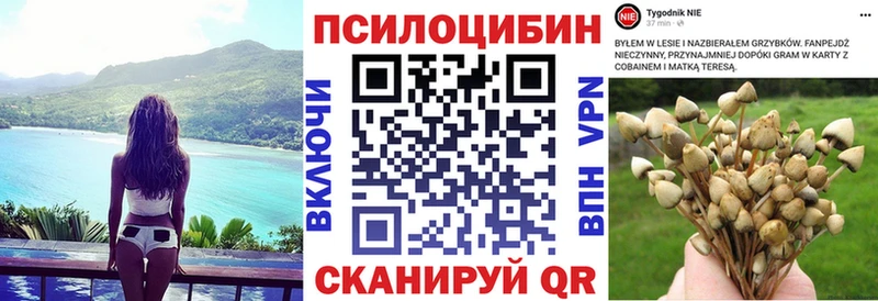где продают наркотики  Сергач  Псилоцибиновые грибы MAGIC MUSHROOMS 
